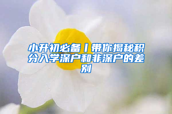 小升初必备丨带你揭秘积分入学深户和非深户的差别
