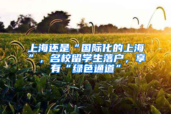 上海还是“国际化的上海”，名校留学生落户，享有“绿色通道”