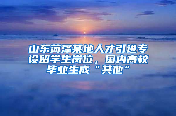 山东菏泽某地人才引进专设留学生岗位，国内高校毕业生成“其他”