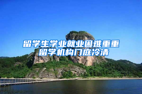 留学生学业就业困难重重 留学机构门庭冷清
