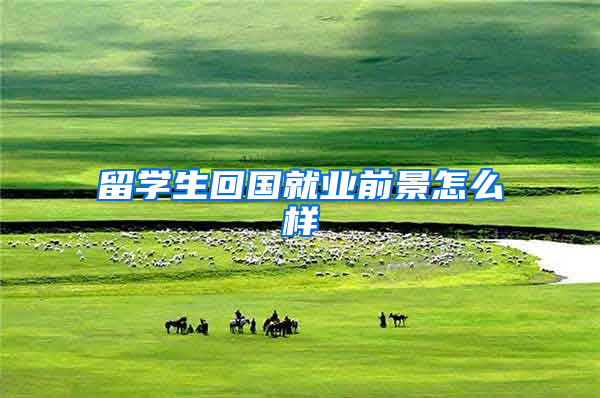 留学生回国就业前景怎么样
