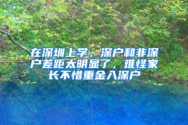 在深圳上学，深户和非深户差距太明显了，难怪家长不惜重金入深户