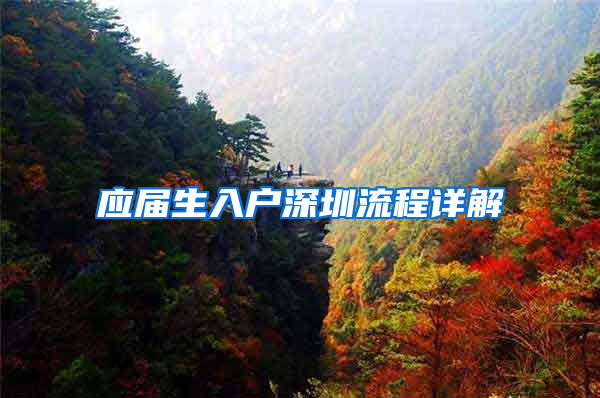 应届生入户深圳流程详解