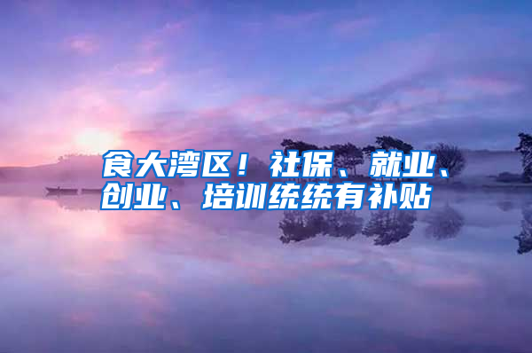 揾食大湾区！社保、就业、创业、培训统统有补贴