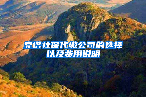 靠谱社保代缴公司的选择以及费用说明