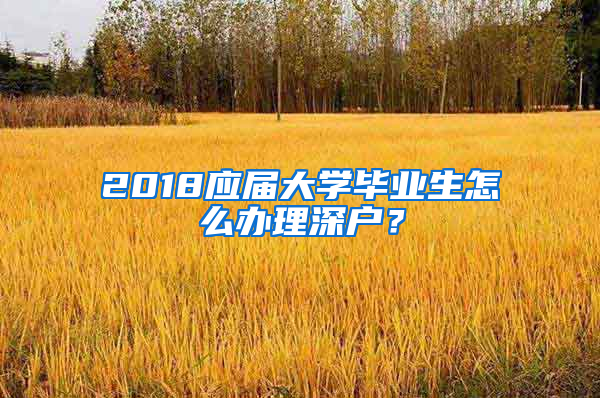 2018应届大学毕业生怎么办理深户？