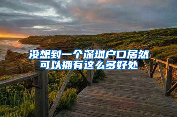 没想到一个深圳户口居然可以拥有这么多好处