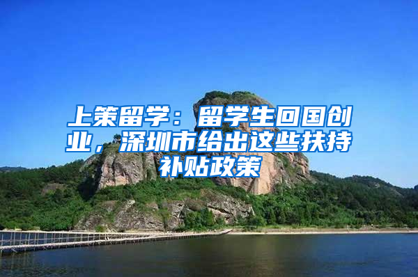上策留学：留学生回国创业，深圳市给出这些扶持补贴政策