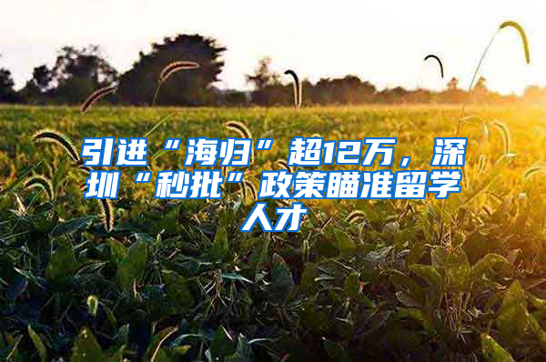 引进“海归”超12万，深圳“秒批”政策瞄准留学人才