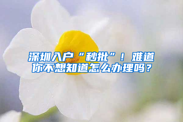 深圳入户“秒批”! 难道你不想知道怎么办理吗？