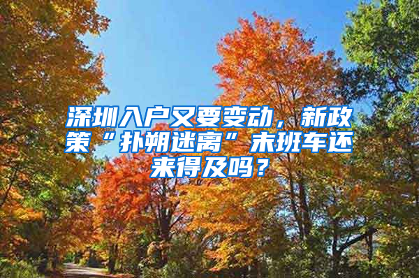 深圳入户又要变动，新政策“扑朔迷离”末班车还来得及吗？