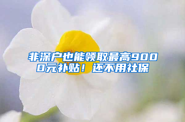 非深户也能领取最高9000元补贴！还不用社保