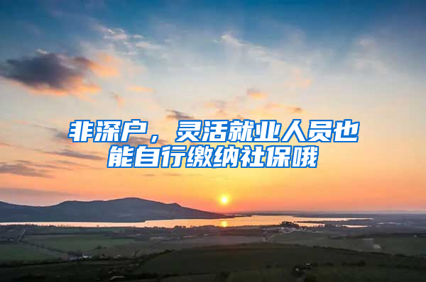 非深户，灵活就业人员也能自行缴纳社保哦