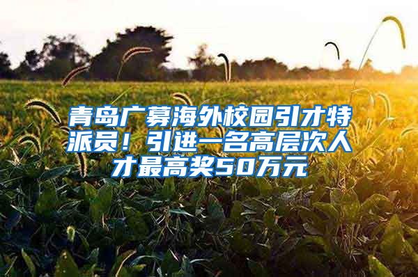 青岛广募海外校园引才特派员！引进一名高层次人才最高奖50万元