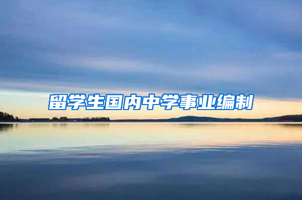 留学生国内中学事业编制
