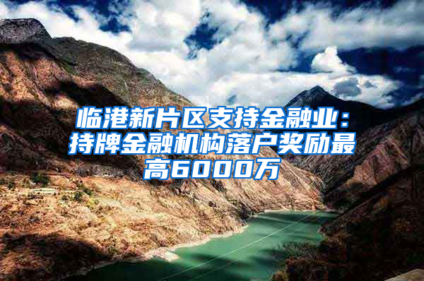 临港新片区支持金融业：持牌金融机构落户奖励最高6000万