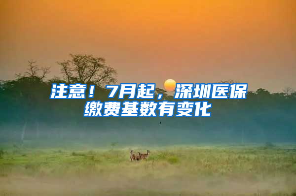 注意！7月起，深圳医保缴费基数有变化