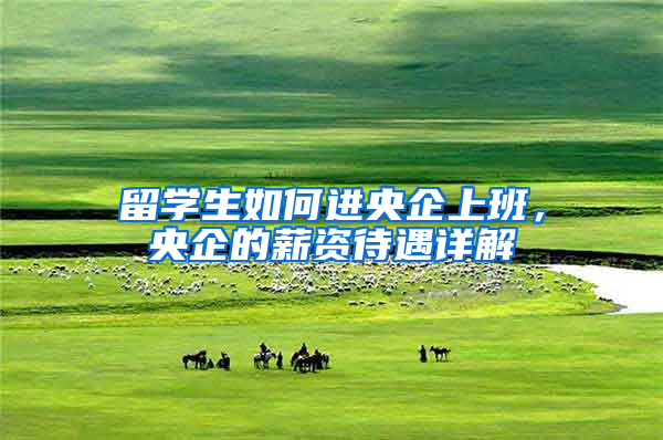 留学生如何进央企上班，央企的薪资待遇详解