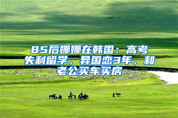 85后娜娜在韩国：高考失利留学，异国恋3年，和老公买车买房