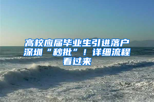 高校应届毕业生引进落户深圳“秒批”！详细流程看过来