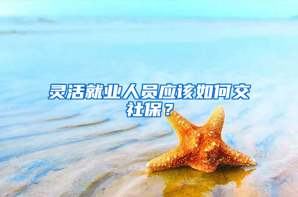 灵活就业人员应该如何交社保？