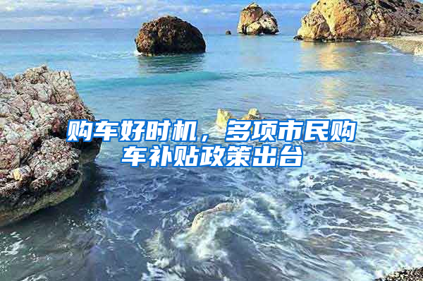 购车好时机，多项市民购车补贴政策出台
