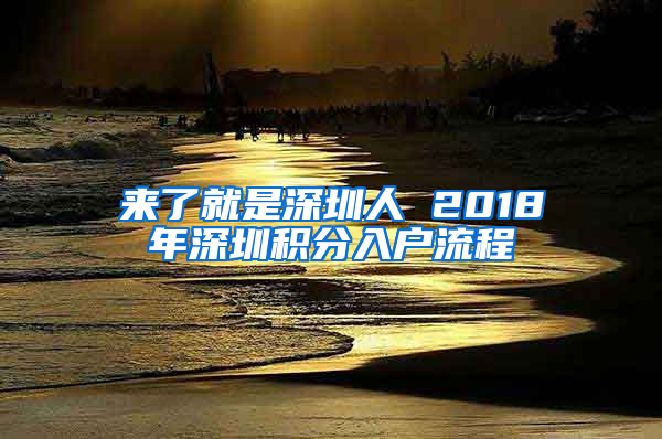 来了就是深圳人 2018年深圳积分入户流程