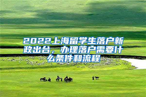 2022上海留学生落户新政出台，办理落户需要什么条件和流程