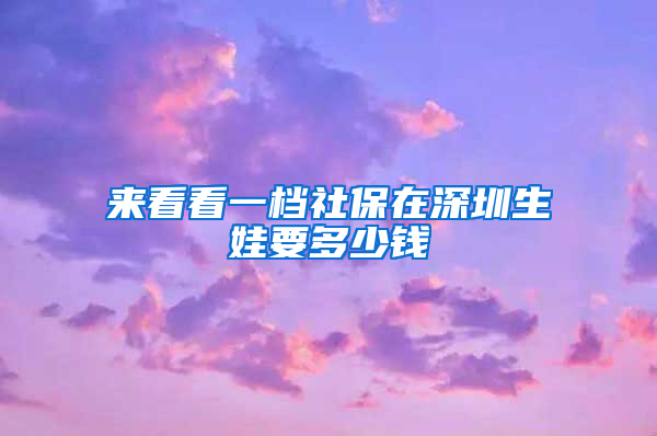来看看一档社保在深圳生娃要多少钱