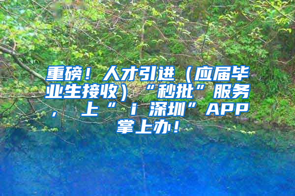 重磅！人才引进（应届毕业生接收）“秒批”服务， 上“ i 深圳”APP掌上办！