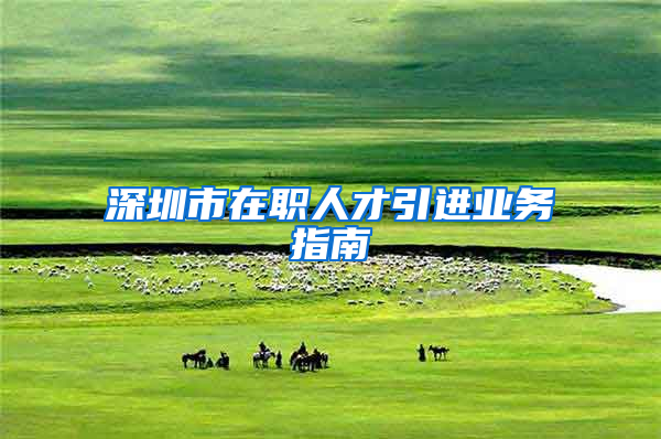 深圳市在职人才引进业务指南