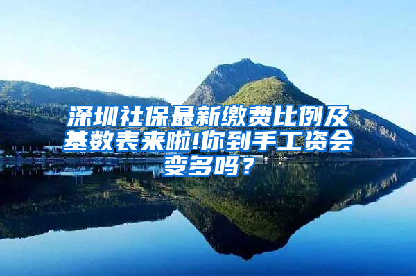深圳社保最新缴费比例及基数表来啦!你到手工资会变多吗？