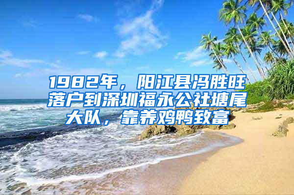 1982年，阳江县冯胜旺落户到深圳福永公社塘尾大队，靠养鸡鸭致富