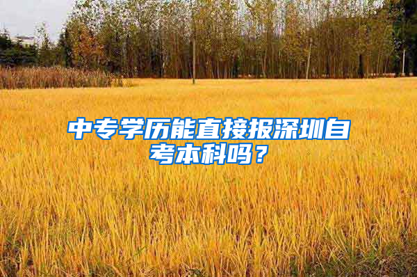 中专学历能直接报深圳自考本科吗？