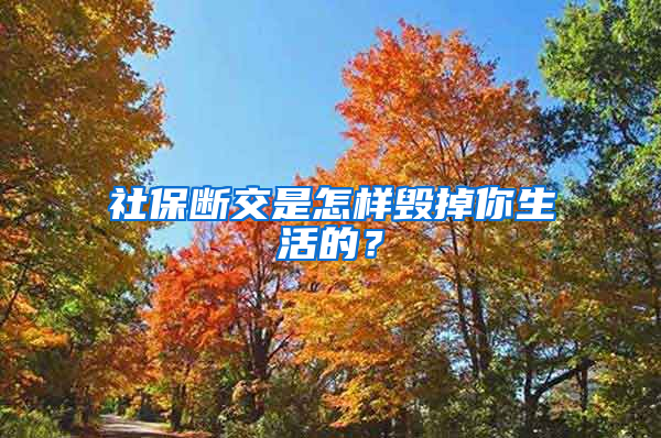 社保断交是怎样毁掉你生活的？
