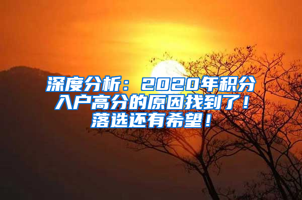 深度分析：2020年积分入户高分的原因找到了！落选还有希望！
