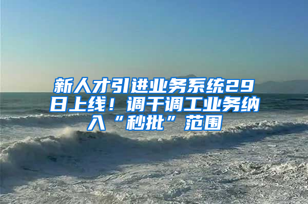 新人才引进业务系统29日上线！调干调工业务纳入“秒批”范围