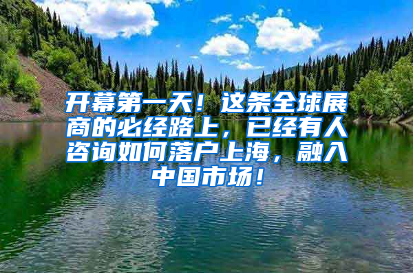 开幕第一天！这条全球展商的必经路上，已经有人咨询如何落户上海，融入中国市场！