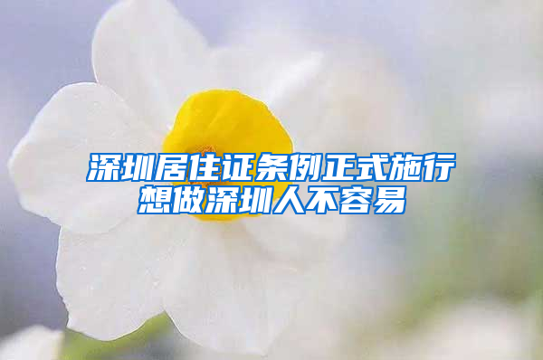 深圳居住证条例正式施行想做深圳人不容易
