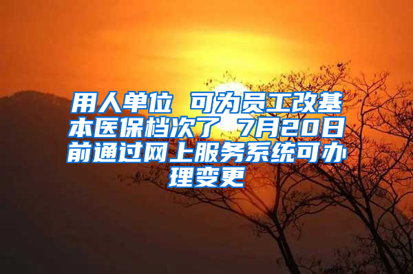 用人单位 可为员工改基本医保档次了 7月20日前通过网上服务系统可办理变更