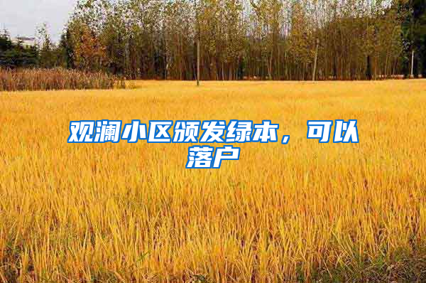 观澜小区颁发绿本，可以落户