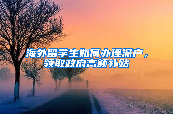 海外留学生如何办理深户，领取政府高额补贴