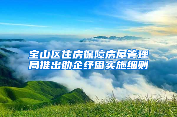 宝山区住房保障房屋管理局推出助企纾困实施细则