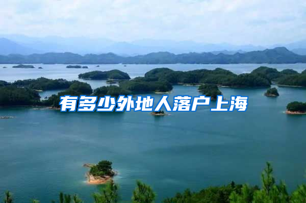 有多少外地人落户上海