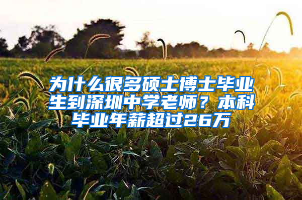 为什么很多硕士博士毕业生到深圳中学老师？本科毕业年薪超过26万