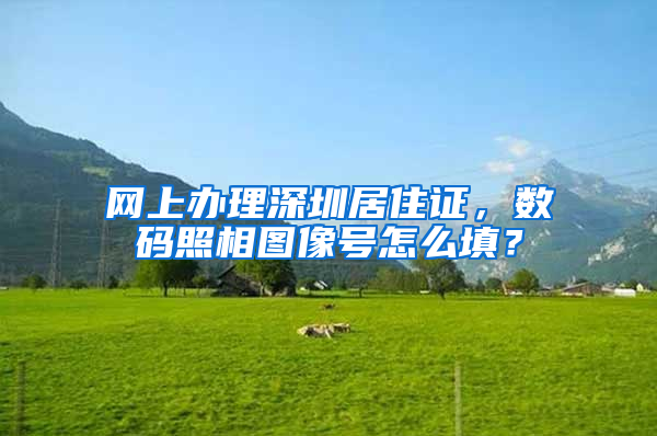 网上办理深圳居住证，数码照相图像号怎么填？