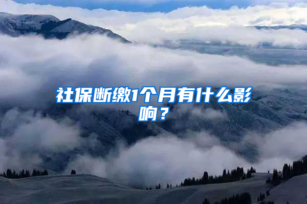 社保断缴1个月有什么影响？