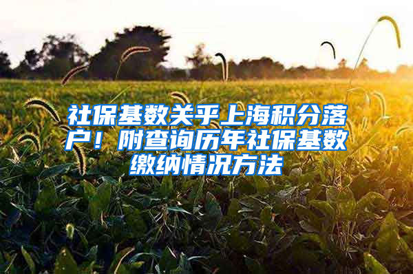社保基数关乎上海积分落户！附查询历年社保基数缴纳情况方法