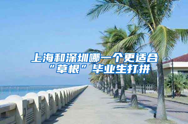 上海和深圳哪一个更适合“草根”毕业生打拼