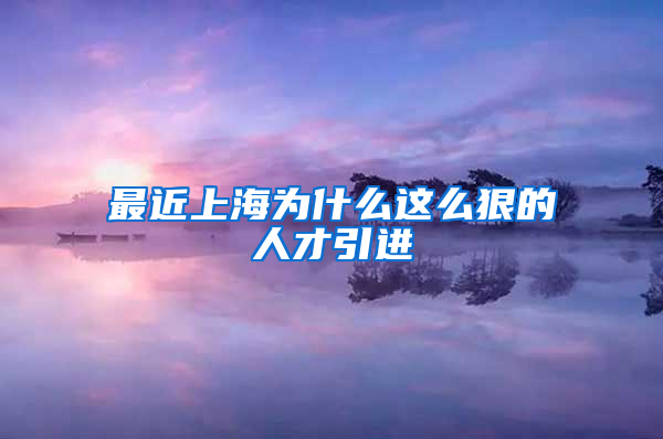 最近上海为什么这么狠的人才引进